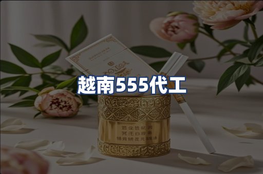 越南555代工